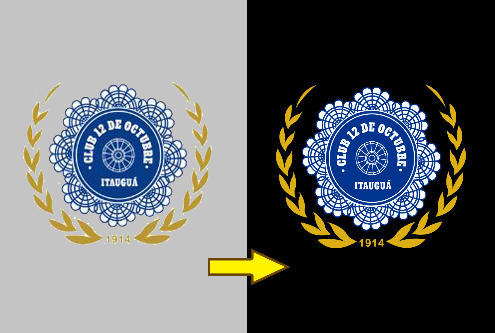 I will vector tracing or redraw logo within 6 hrs