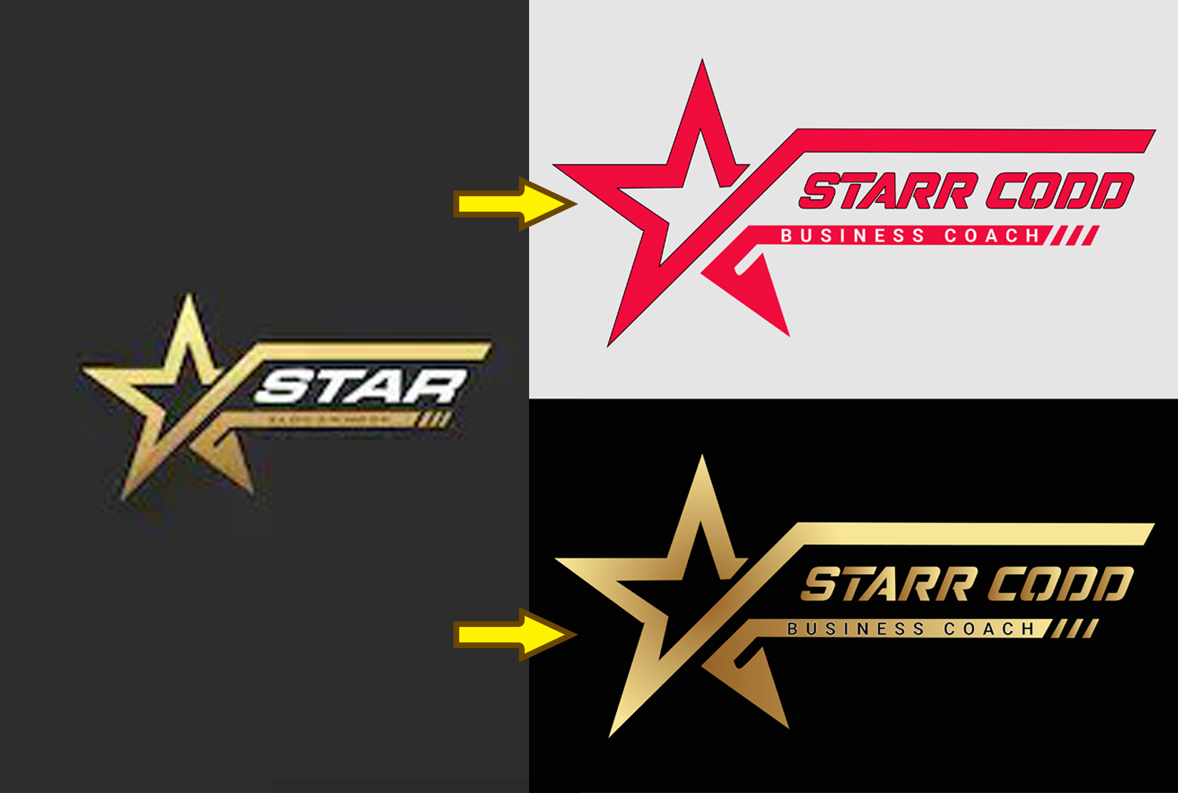 I will vector tracing or redraw logo within 6 hrs