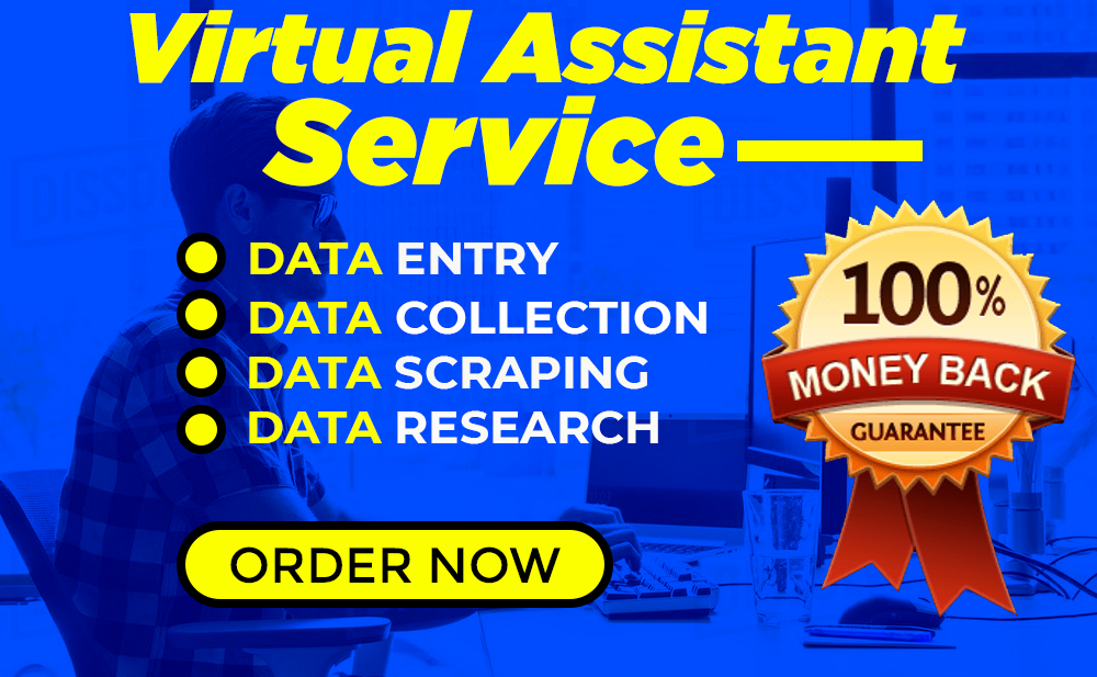 be your virtual assistant for data entry, web research and lead generation 