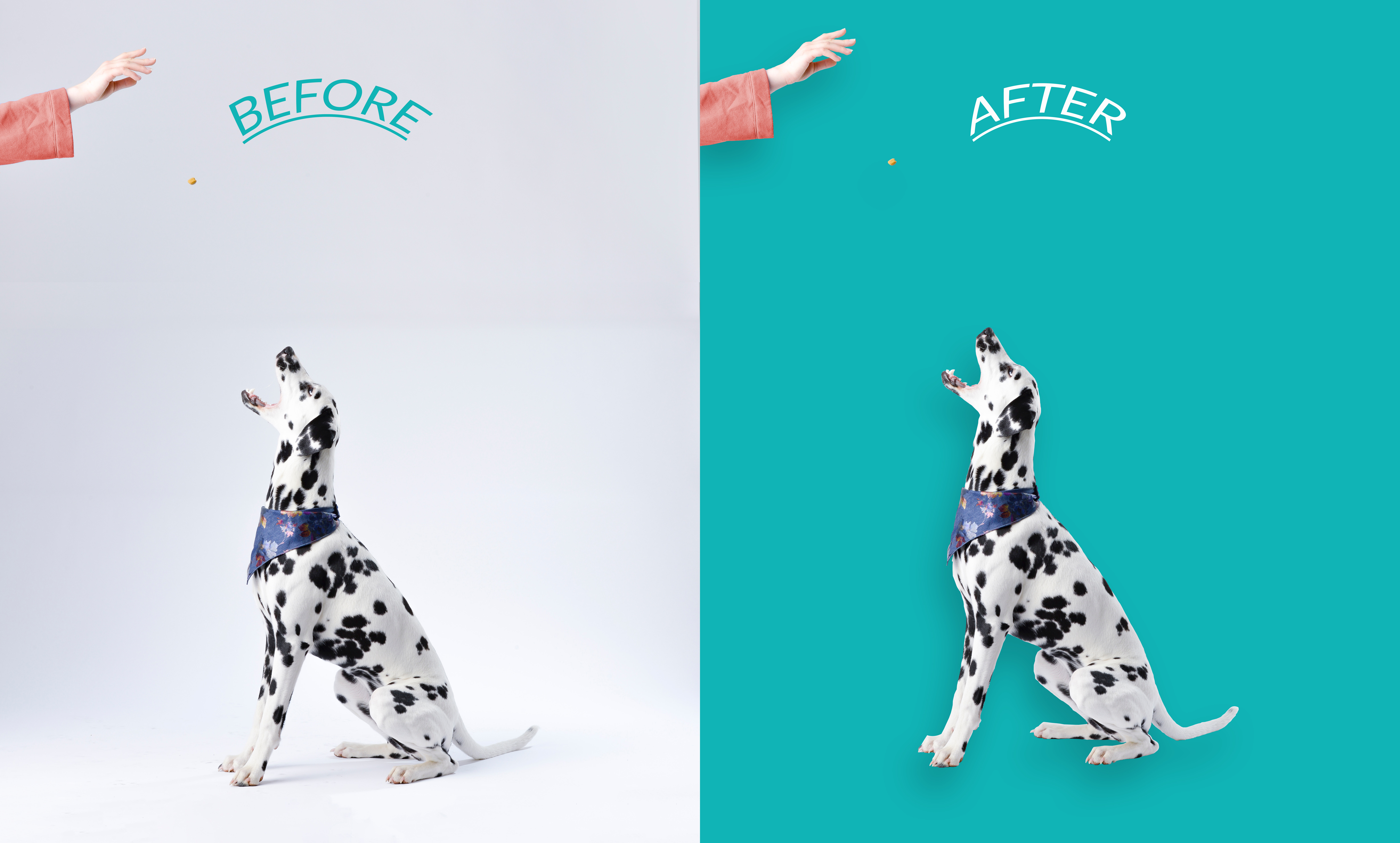 I will remove 15 photos background and cut out images professionally