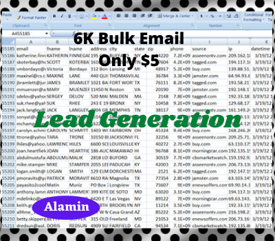 I will do niche and verified active email list