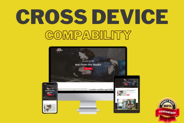 I will design redesign wordpress website or copy clone website and duplicate website