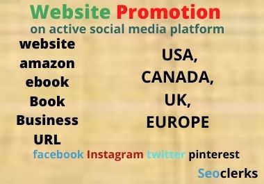 Website promotion on social media platform 