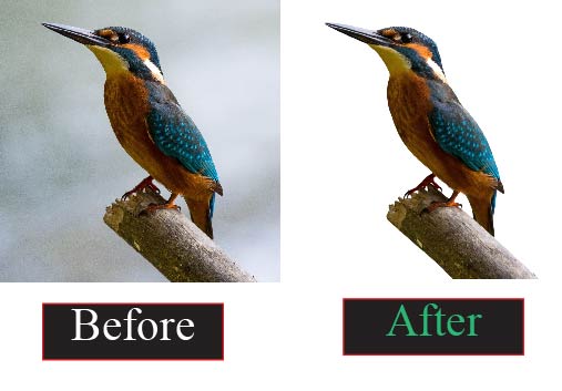 I will professionally edit, remove and retouch your image background.