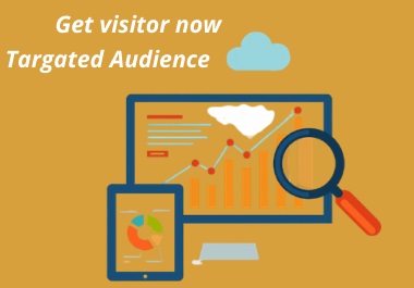 I will bring real visitor's & organic targeted traffic