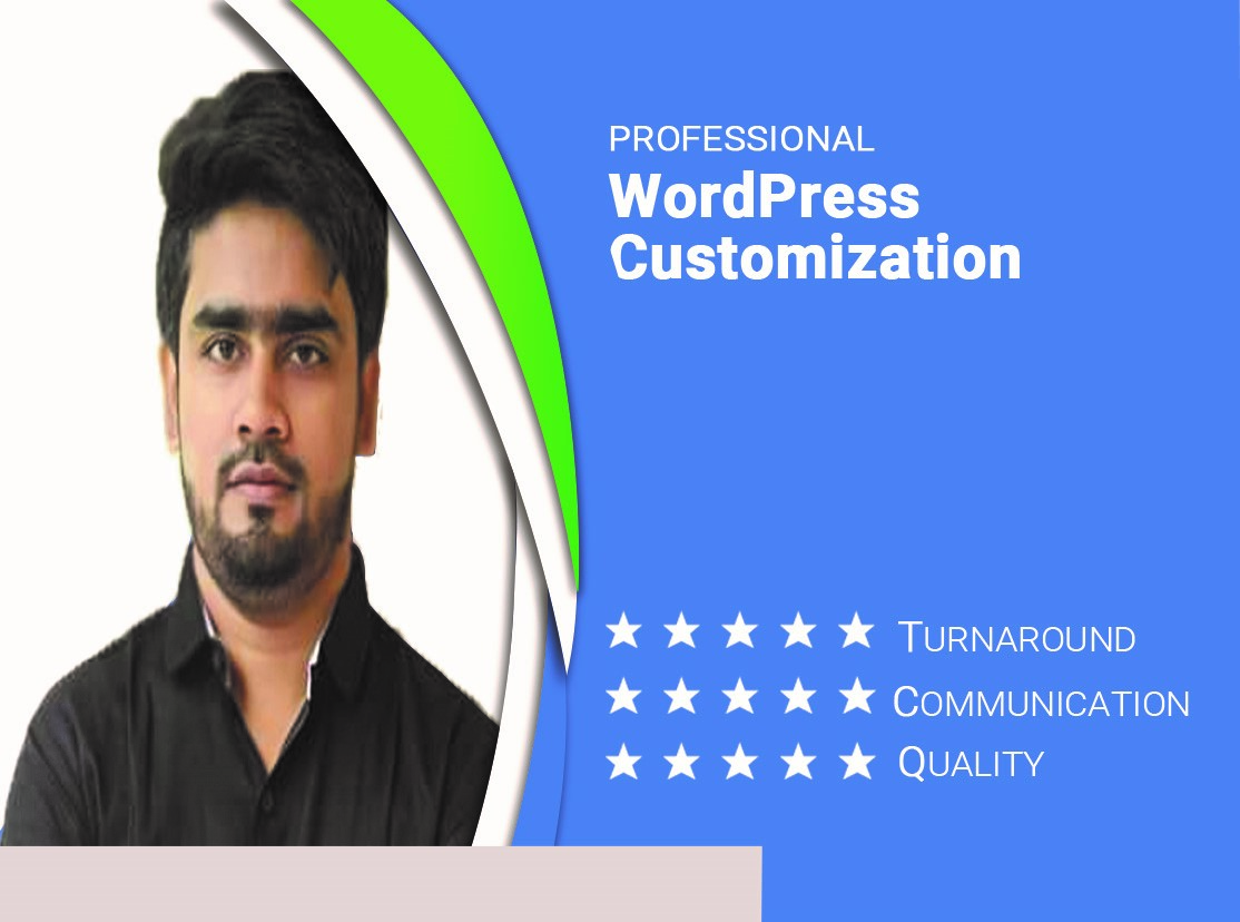 i will do any type of wordpress customization