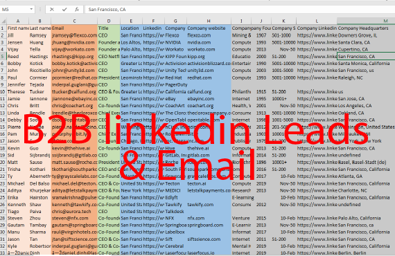 I will do B2B lead generation and 100 percent targeted contacts