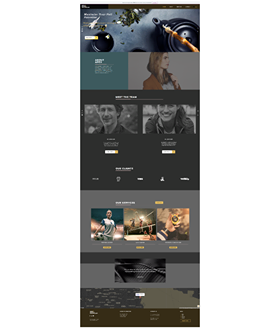 I will build professional wix website design and redesign wix website