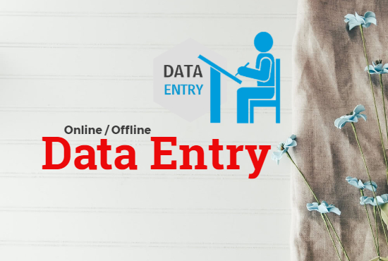 I will provide any type of data entry work and data analysis