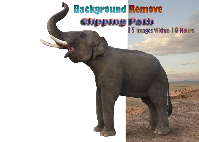 I will do fast delivery background remove clipping path 15 images