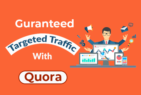 I will provide Guaranteed targeted Traffic with 10 Hi...