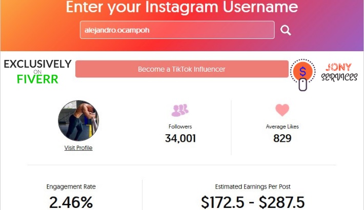 I will find best instagram influencer for your niche or business