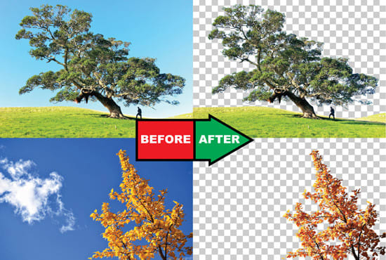 i will do Five photos background removal