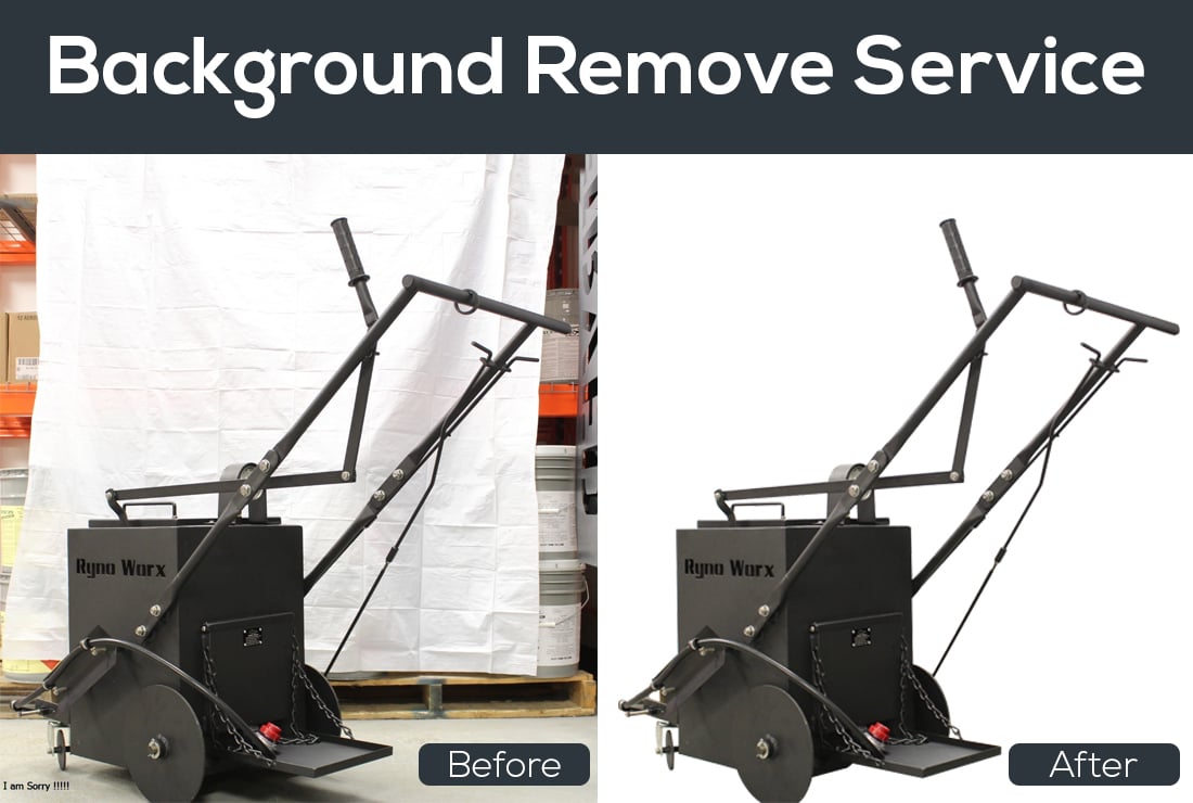I will do professional photo background removal express delivery 24 hour