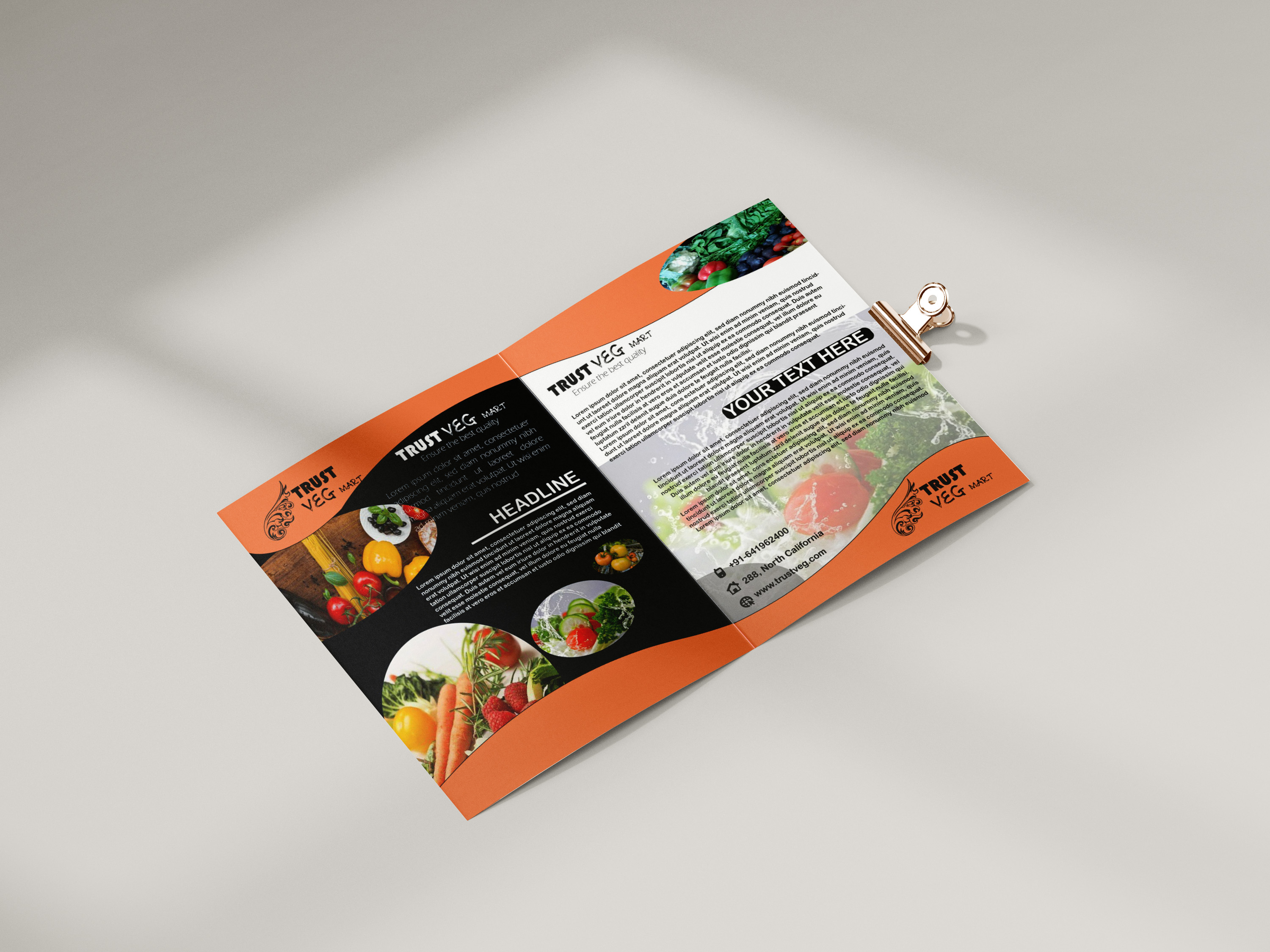 I will design exclusive and smart brochure for you with affordable price