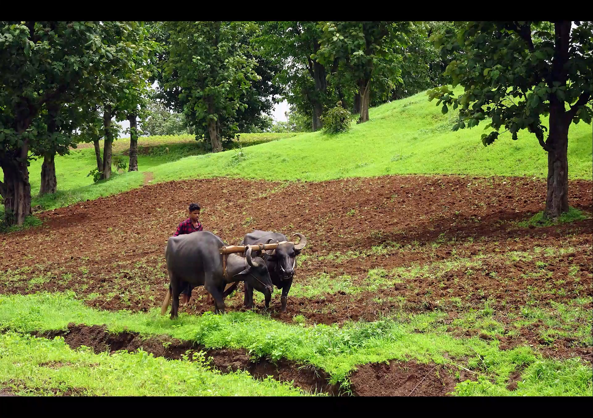 I will do slideshow, intro, outro, logo animation, ads, vlogs