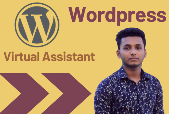 I will be your virtual assistant, helper or consultant