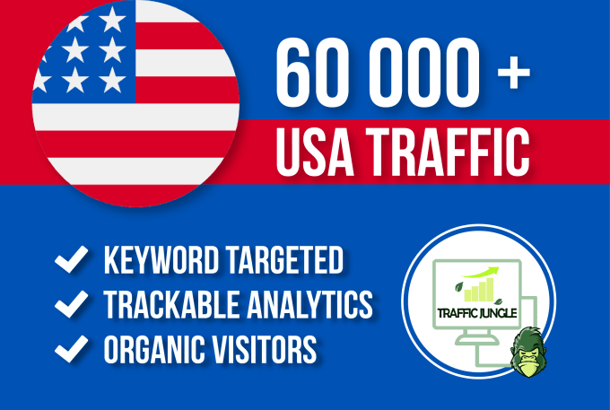 I will drive 60,000 traffic to your web site through ...