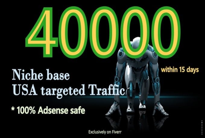 I will drive 40K traffic to your website through soci...