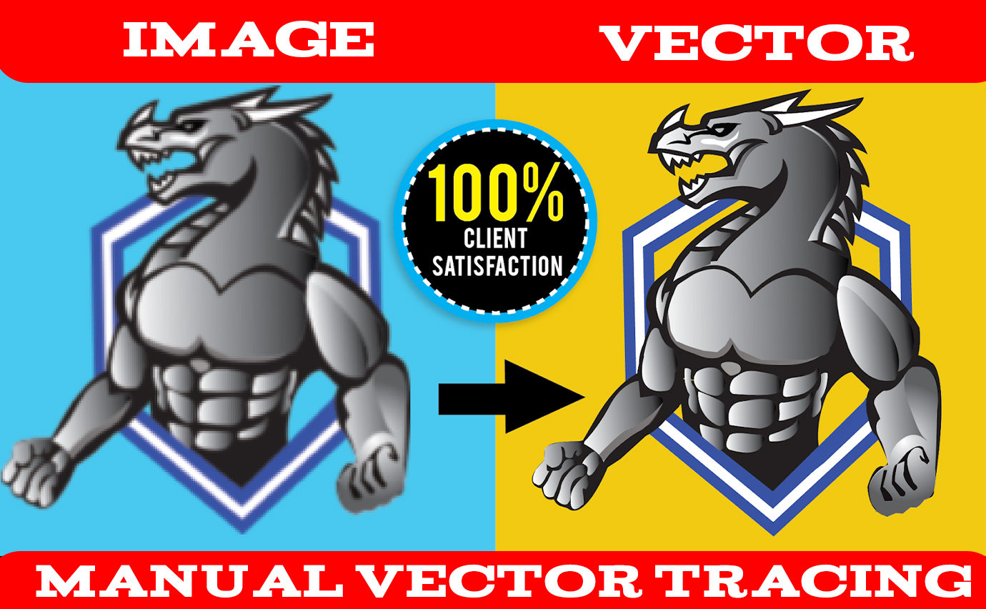 i will do vector tracing , vectorize, recreate image, image to vector 