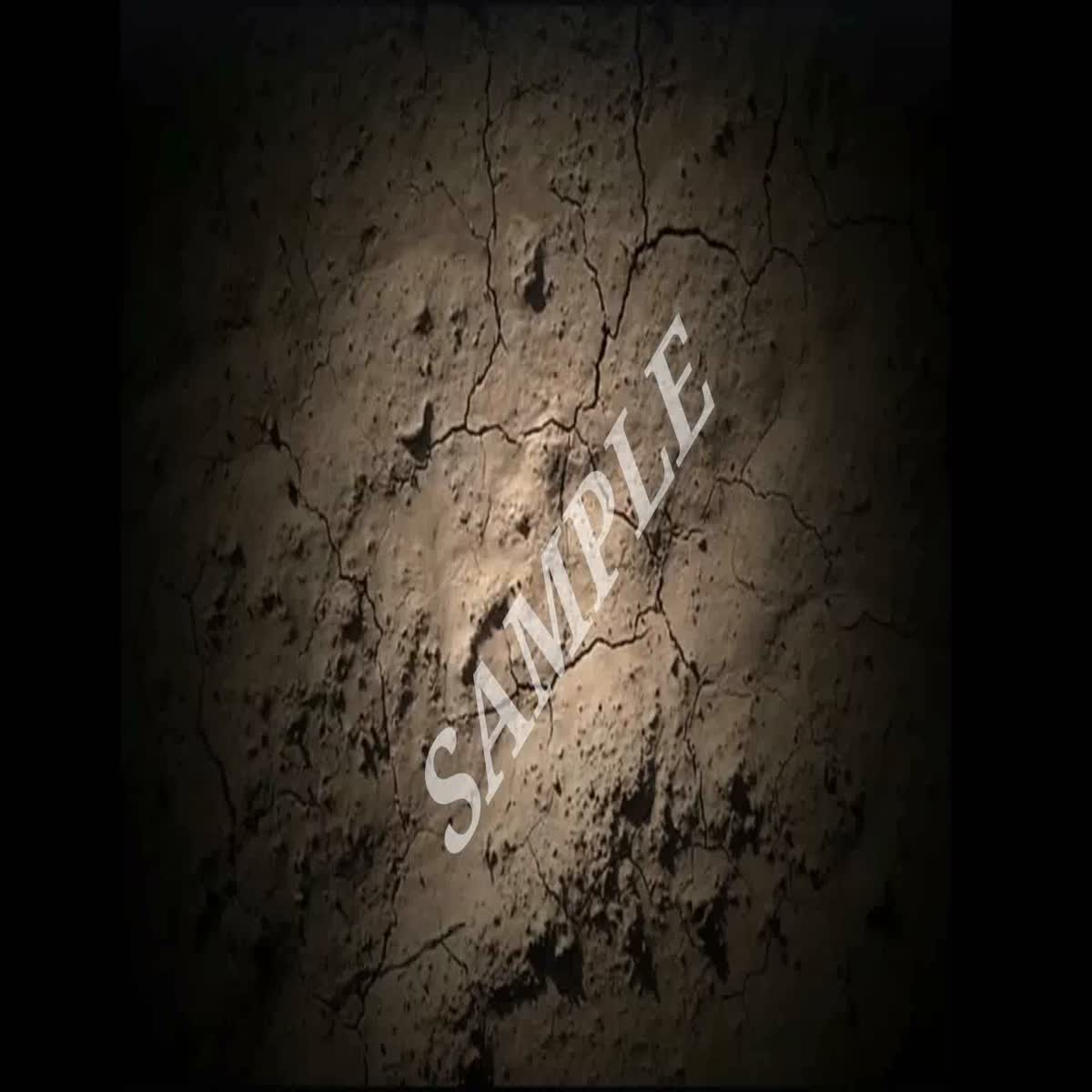  LOGOs Intros for Business Company or SocialMedia