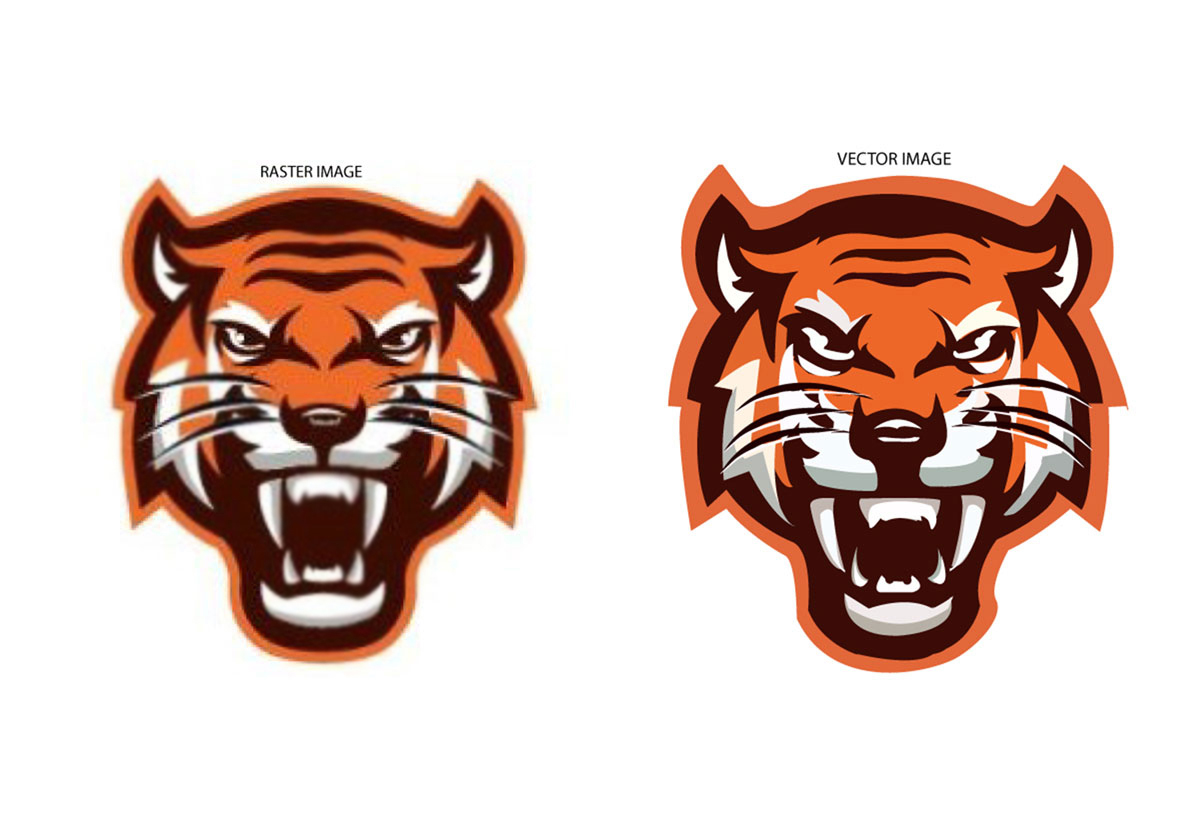 I will vectorize logo or icons & convert any images to high quality vectors.