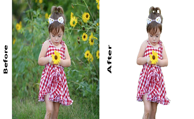 I will cut out images or remove background removal