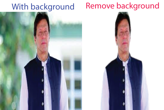 I will cut out and remove background professionally .