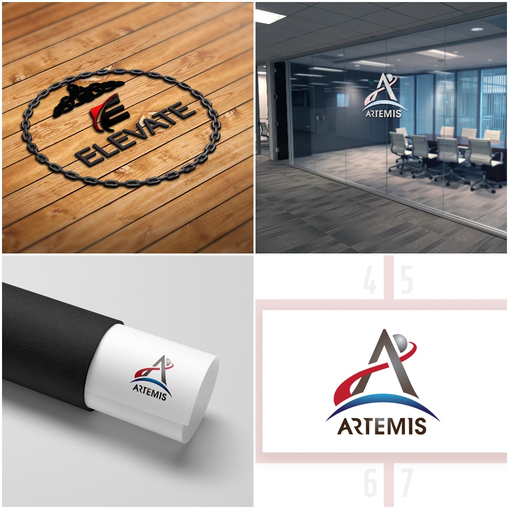 I will design a professional flat minimalist logo design in 1day