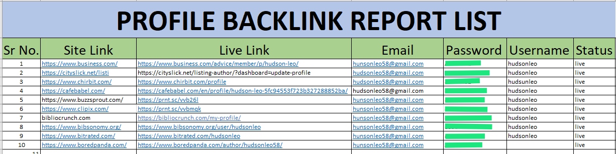 I will create high authority 100 do-follow profile backlink for your website