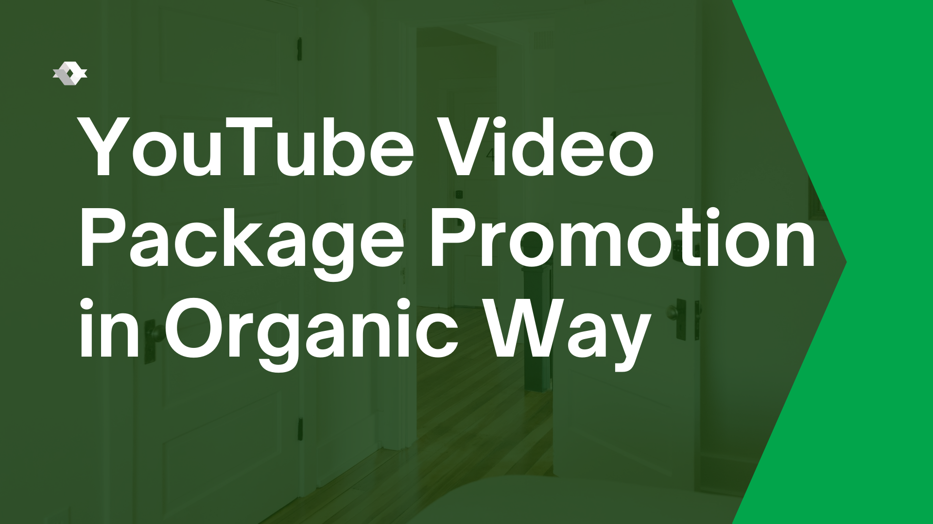 YouTube Video Package Promotion In Organic Way All in All 