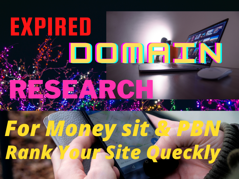 I will do high authority expired domain research