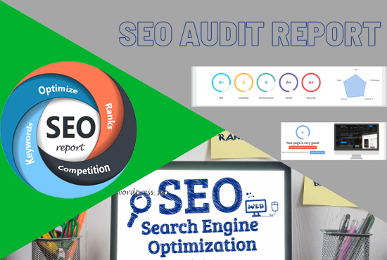 analysis and provide a professional web SEO audit report