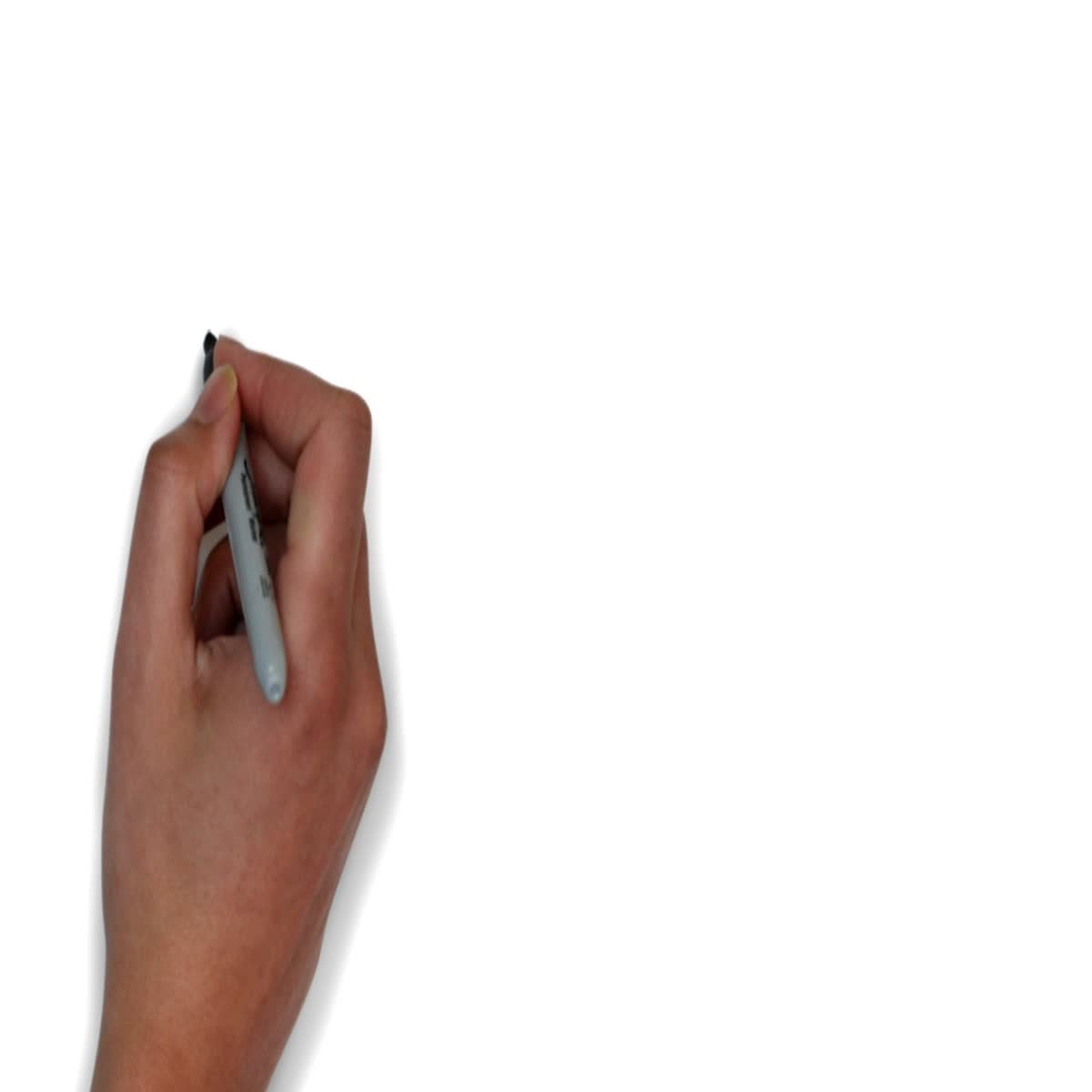 I will create whiteboard animation video with voiceov...