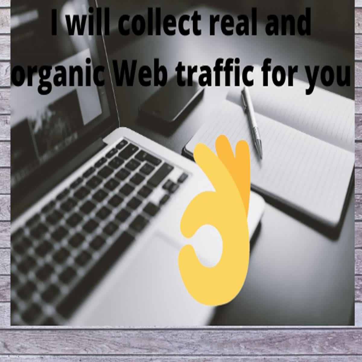 I will collect real and organic web traffic for you.