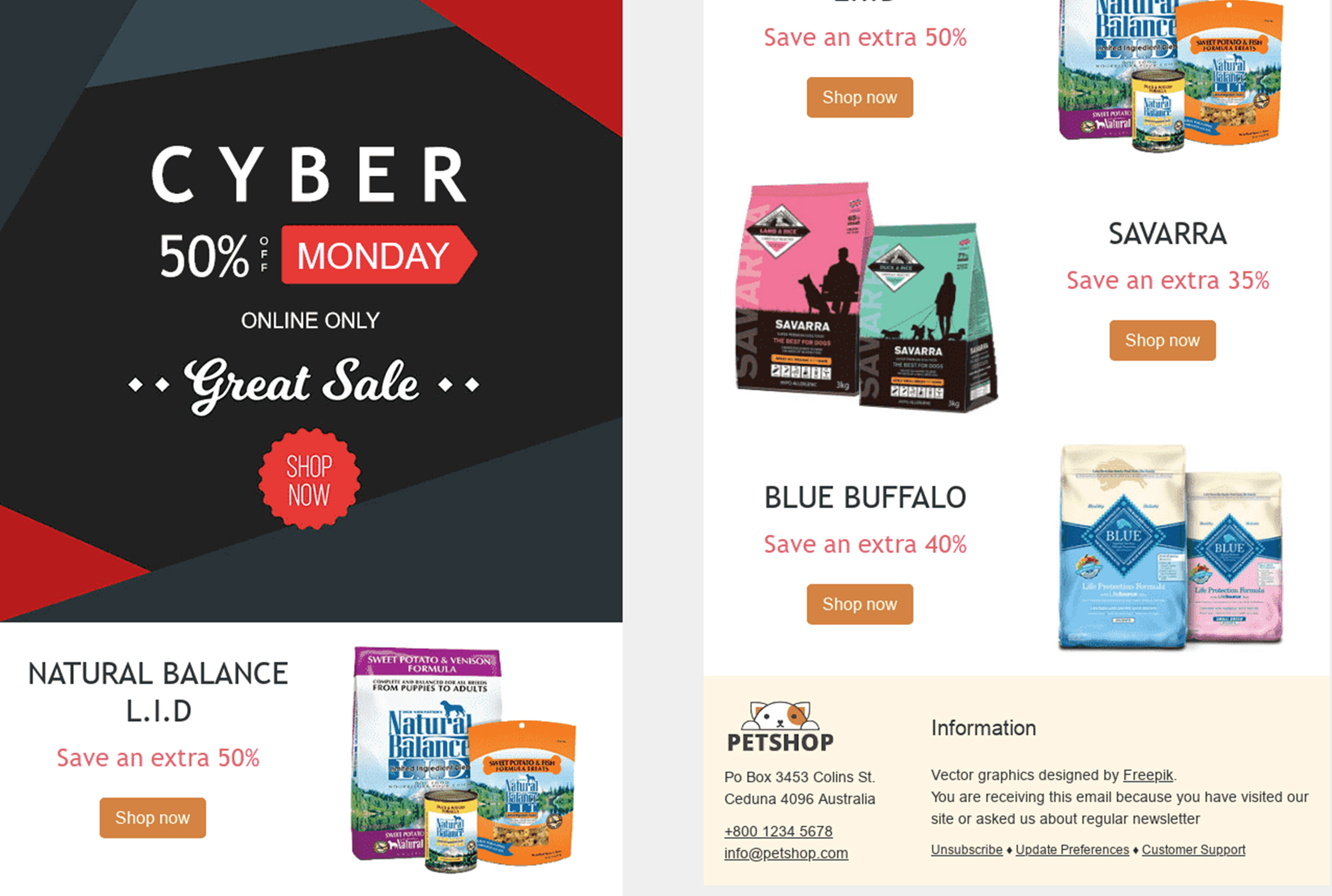 I will design responsive email template or newsletters