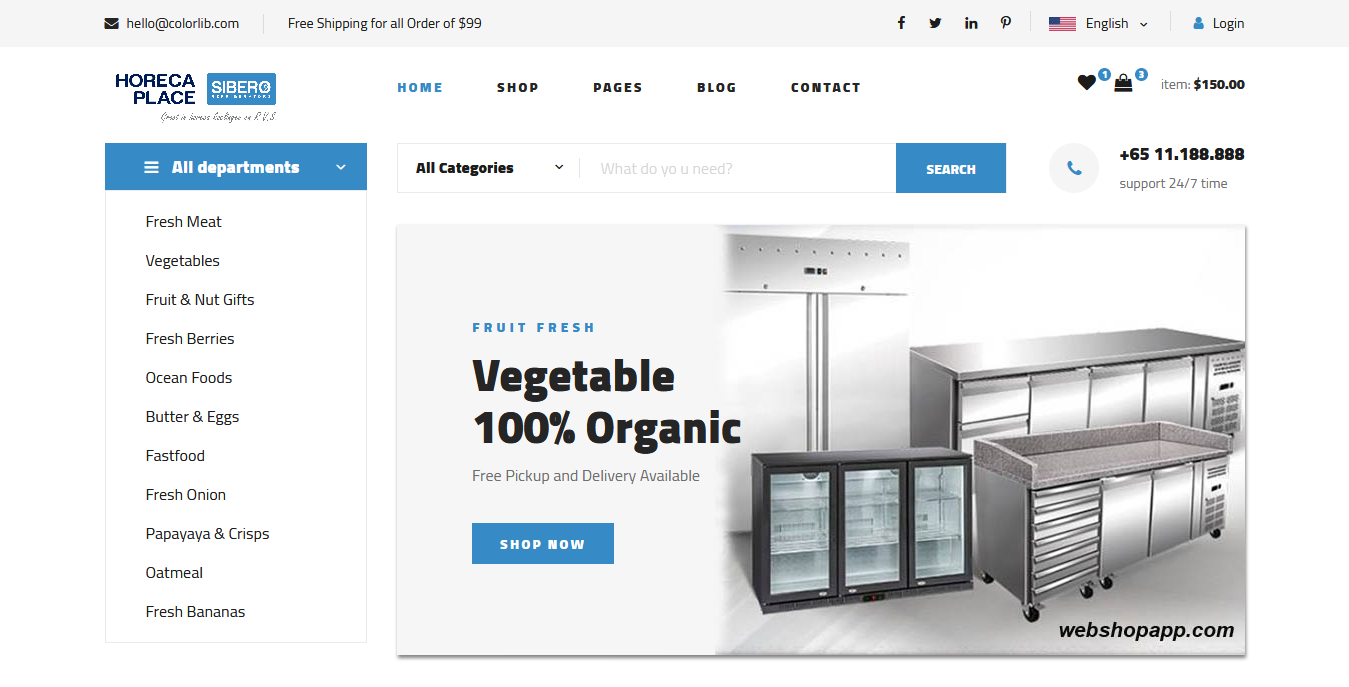 Wordpress Website Create, build or customize with Highly optimized theme