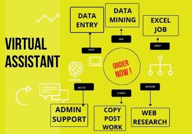 I am virtual assistant. Contact us to understand the work of any of your DATA ENTRY, EXCEL JOB.
