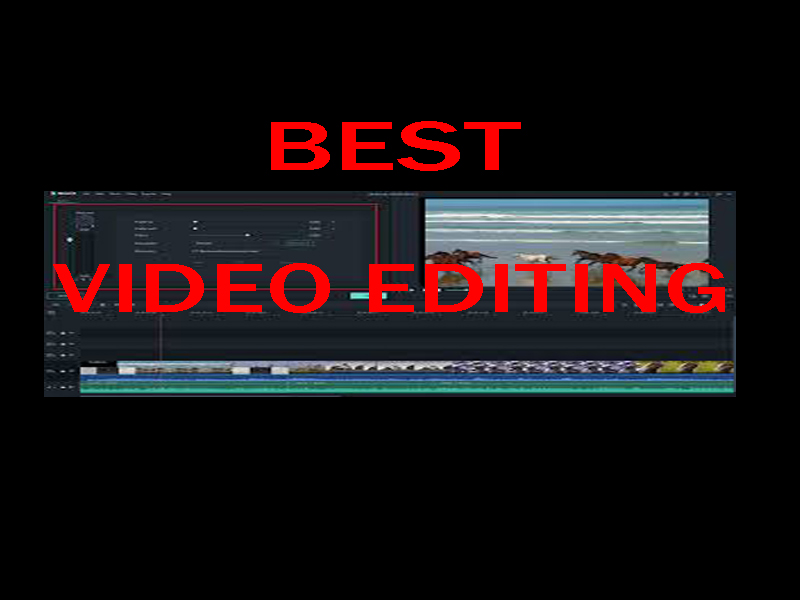 I will be your professional video editor
