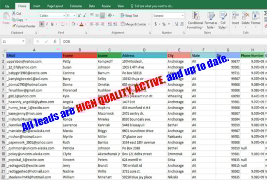 I will do b2b, b2c, targeted customer lead service
