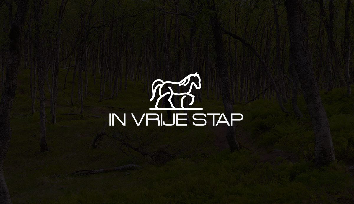 I will design up to 5 minimalist modern logo design concepts