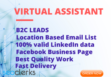 Professional Pro Virtual Assistant & Lead Generation Specialist