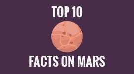 PREMIUM&Professional Animated- & Whiteboard Videos