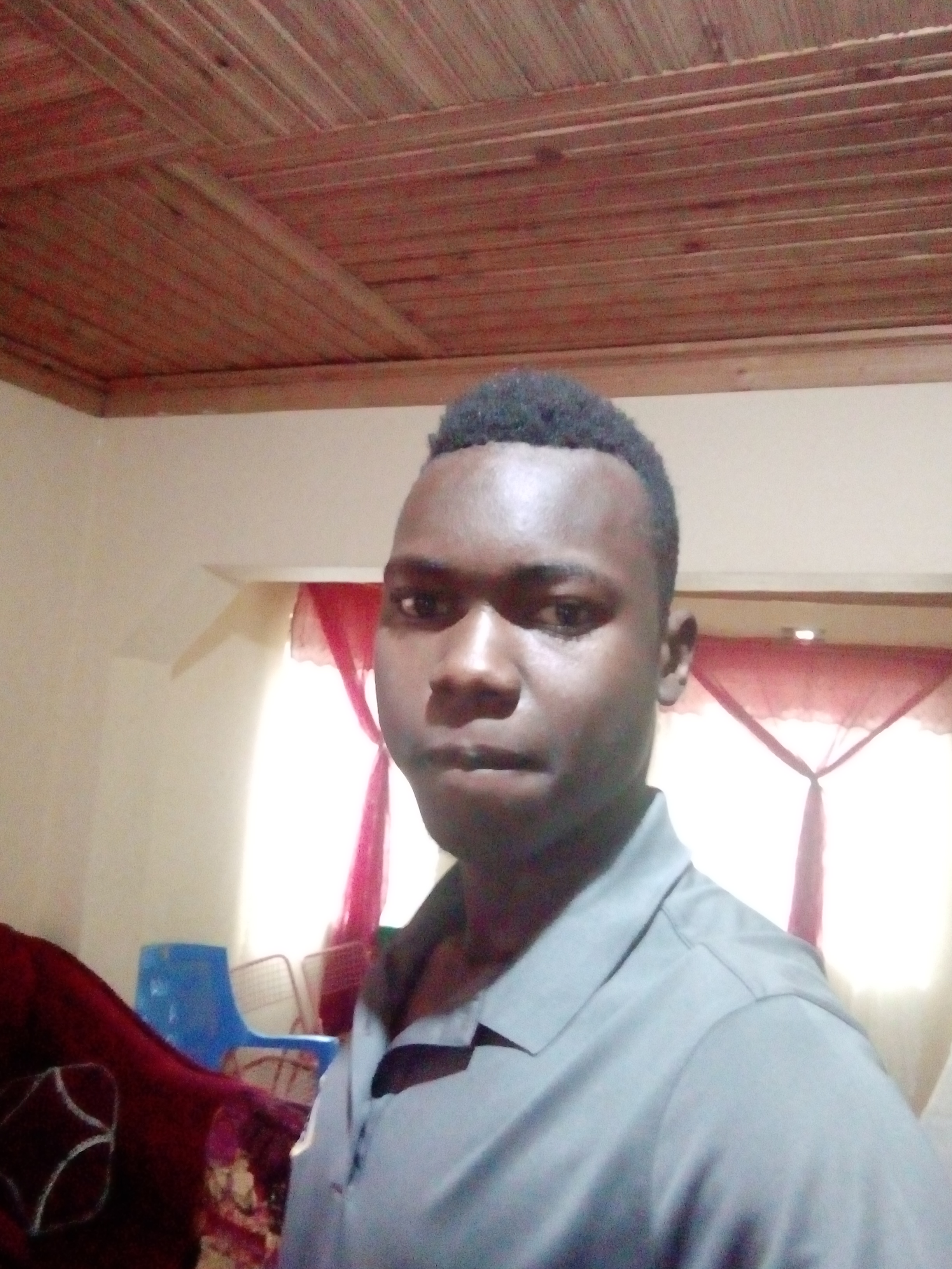 500 to 1000 article writting that is completed only within a day order now