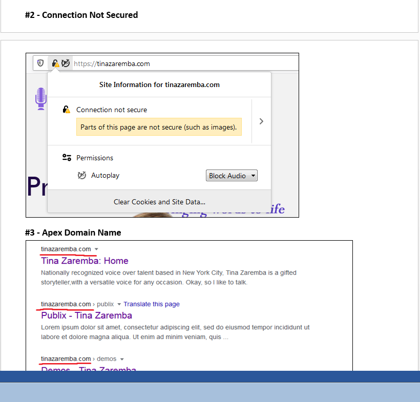 I will create a technical SEO audit of your website