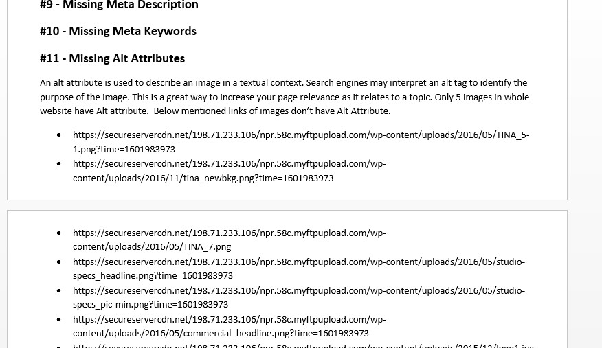 I will create a technical SEO audit of your website