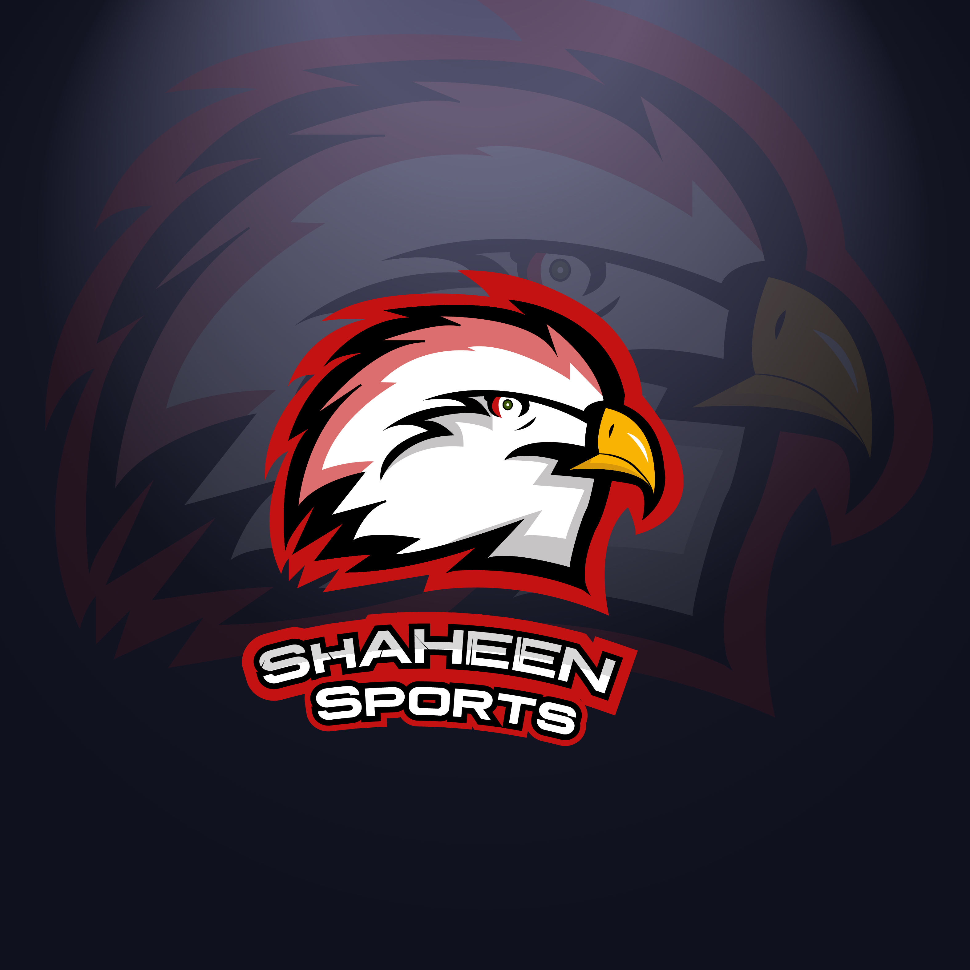 I will design mascot, minimalist and creative logo for you