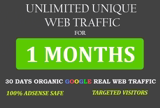 Unlimited Unique Website Traffic visitors for 1 month