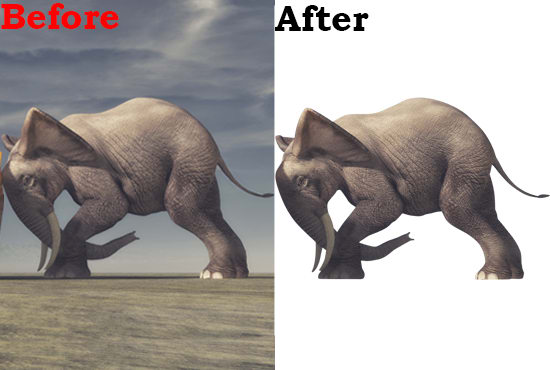 I will do 5 cutout image or background removal