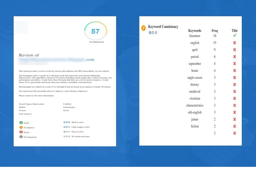 I will provide expert professional full website SEO audit report and website analysis